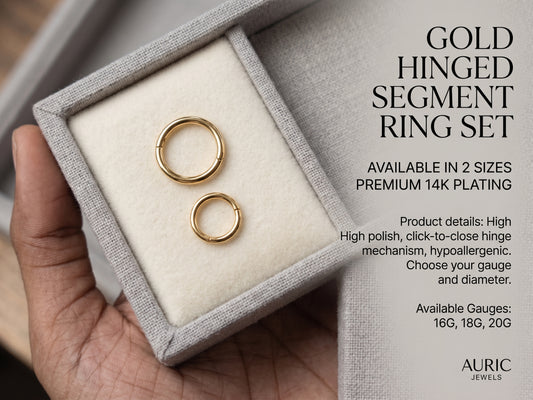 2 in 1 Gold Hinged nose ring Segment Ring Set